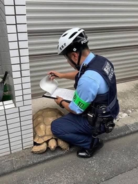 スピード違反で警察に捕まったそうです。可哀想ですか？ 