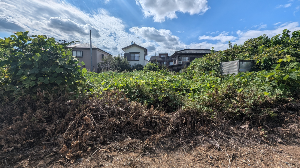 土地の草刈りをするのですが、写真よりは今はもう枯れまくってますが草刈機を使っても良いですかね？ 草刈機はホームセンターでレンタルする予定です。