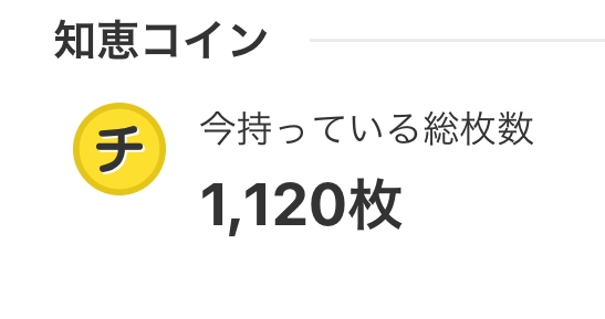 知恵コインについて質問です。 ベストアンサーの方にプレゼントできることと、質問に回答した時に貰えることにはなんとなく気づけたのですが、なにかほかの使い道はありますか？