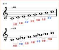 クラシックって「長調の曲」よりも「短調の曲」の方がキャッチーだと思いませんか？
もちろんその曲にもよると思いますが、「長調」はなんとなくボヤ〜〜っとしていて よほど曲自体の出来が良くないとあまり印象に強く残らないことが多かった気がします。
それに対し「短調」は聴いていて記憶に深く刻まれる経験がこれまで多かったです。
言ってみれば「長調」は散文的であり、「短調」は多少感傷的になるイメージ...