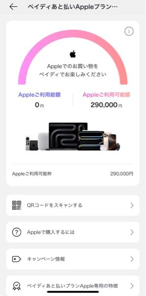 ペイディというアプリをダウンロードしてみたんですがAppleの後払い写真⬇️こんな感じに出てきたのですがこれって使えるってことですか？利用できるのでしょうか？