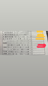 年末調整について
 
 会社から年末調整の用紙をいただいたのですが、この赤い線で消してある部分が給料に反映されるのでしょうか？
 また反映されるのは12月分としてでしようか？ 