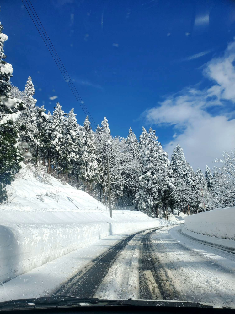 今日は天気が良かったので 写真を撮りました。 雪国はどんなイメージですか？ この写真でイメージは変わりましたか？