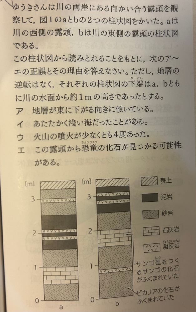 この問題の解き方を教えてください