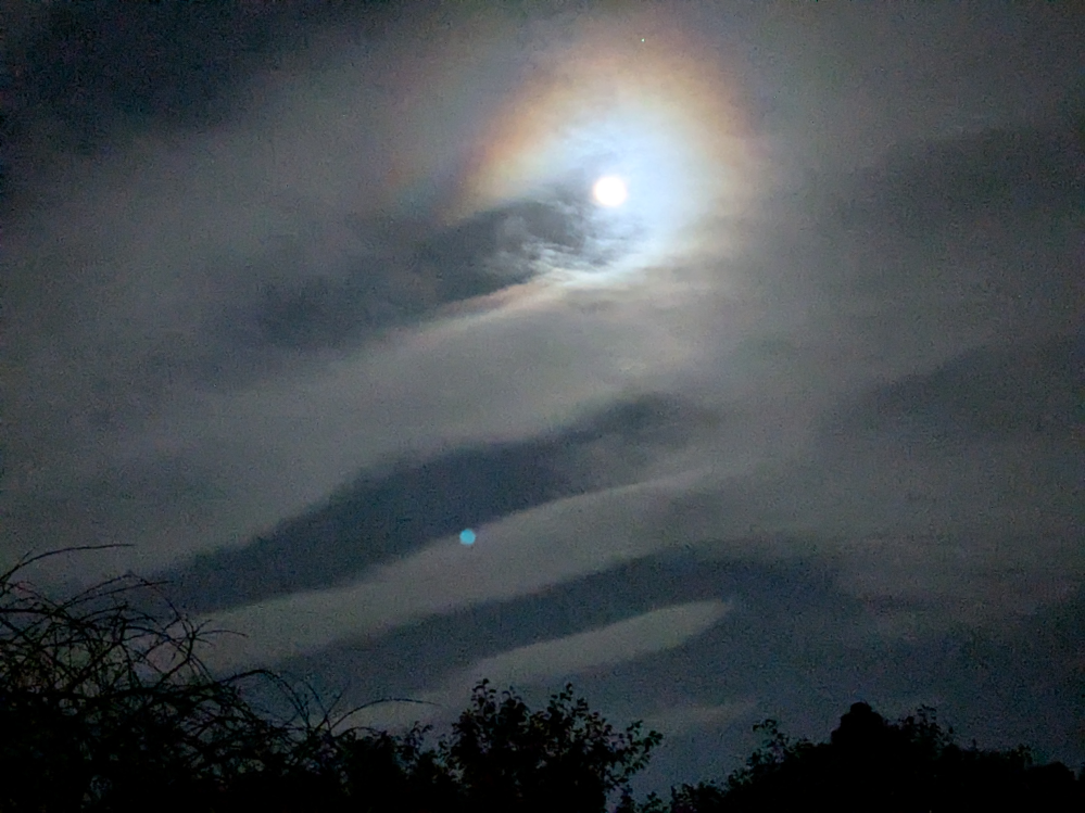 宮崎市に住んでいます。 今、夜空にこんな雲があります。 地震雲とか信じてませんが、さすがにあまり見ない雲で不安になります。