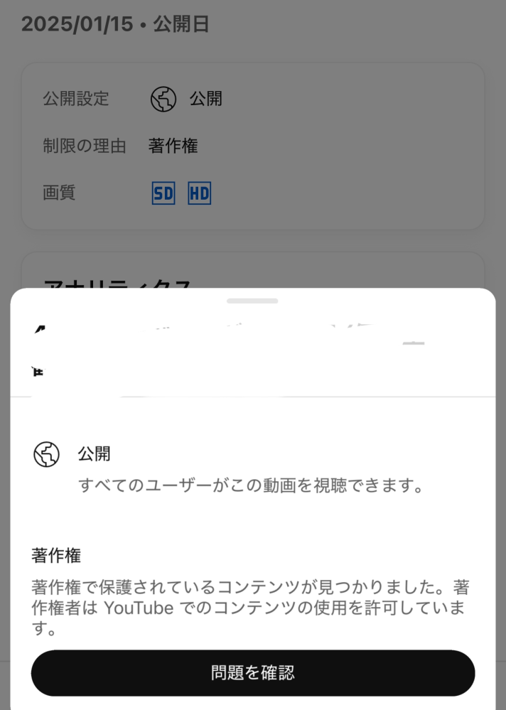 先日YouTubeに動画初投稿したのですが、著作権との表記がでて、YouTube studioで確認したら、画像のような表示が出たのですが、これは動画の音を消したら、 動画の消去をしなくてもいいということですか？