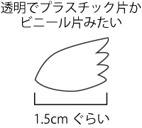 鯖のあら汁（自宅でおろした鯖の頭を煮出して作りました）を飲んでいたら図のような透明なパーツが出てきました。これは鯖の頭のどの部分なのか（なんという部位か名称も）ご存知のかた、教えてください。 透明なプラスチック片としか思えない質感で、厚み・固さはイチゴの包装パックと同じぐらい。1.5cmぐらいの大きさ、天使の翼みたいな形で2枚ありました。