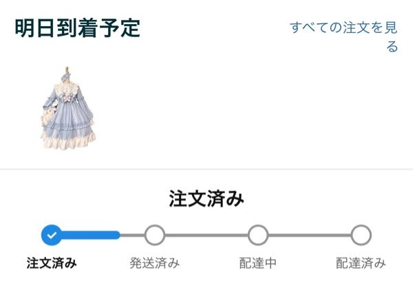 至急です、Amazonにてロリータ服を注文し、明日到着と書いてあるのですがまだ発送もされていません、本当に明日来るのでしょうか？ また、なぜ発送されないのかなど。わかる方いらっしゃいましたら教えてくださいm(_ _)m ちなみに頼んだのは一昨日です(>ㅿ<;;)（どうしても明日必要なので明日届いて欲しいのですが、、‬т т）