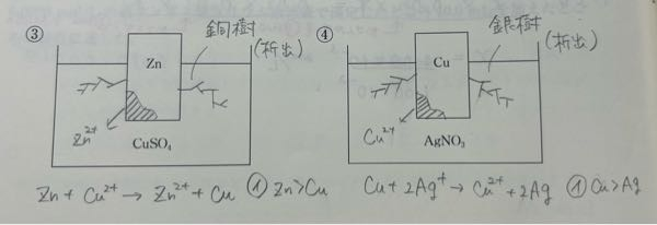 化学のイオン化傾向について質問です。 ③では、CuSO4にZnを漬け込んだ時、ZnとCuが反応してZnがイオンになり、Cuが析出されると書いてあります。 ④では、AgNO3にCuを漬け込んだ時、CuとAgが反応してCuがイオンになり、Agが析出されると書いてあります。 イオン傾向については分かるのですが、なぜ、金属を入れた時に反応するものが分かるのですか？ 例えば③でいったら、なぜZnを入れたらCuと反応が起こるのか。この時、SO4などと反応することは無いということだと思うのですが、それはどうしてでしょうか。 (④のときでいったら、なぜCuとAgが反応するのかがわかりません。) 化学が苦手で、イオン化傾向についても詳しく知っている訳では無いので、優しく教えてくださったら幸いです。