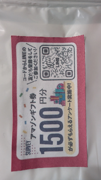 某有名ショッピングサイトで買い物をした際商品と一緒にこの様な
