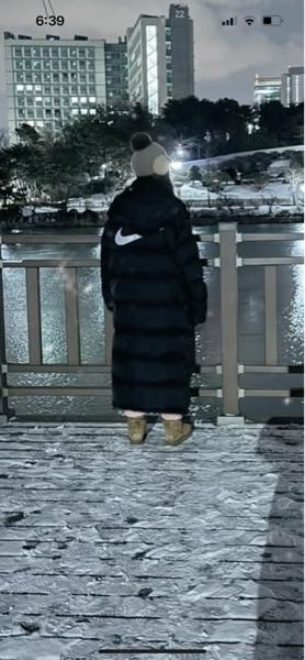 このNIKEのダウン教えてください