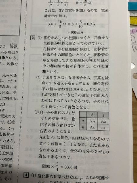 中学理科 至急 (2)なぜ全てAaだからって黄色になるのですか？