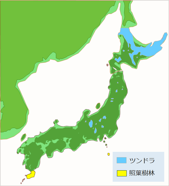 ナウマンゾウは「最終氷期（ヴュルム氷期）」ではなく、それ以前の「氷河期」に日本列島に渡来したという事でよろしいでしょうか？ . 古代の日本列島と朝鮮半島とはつながっていて、そこを人が渡って日本列島に来たと「誤った」知識をお持ちの方がいるようですが、結局、日本列島と朝鮮半島とはつながらなかった。 「日本列島が大陸と繋がっていた」というのは、昔の説です。氷河期（ヴュルム氷期）の「最寒期」は、今から「約２万１千年前」に起こっていますが、日本列島は大陸とつながることはなかったと考えられています（注：現生人類の移動とは無関係な、更に以前の氷河期を除く）。 つまり、対馬・津軽海峡は水深が深く、海が残ったようです。対馬暖流は日本海には流れ込まず、そのため、日本列島は今よりかなり寒かったと推定されますので、縄文人は冬に「対馬・津軽海峡」を埋め尽くした「流氷」の上を歩いてきた可能性があります。 ↓日本列島の旧石器時代 https://ja.wikipedia.org/wiki/%E6%97%A5%E6%9C%AC%E5%88%97%E5%B3%B6%E3%81%AE%E6%97%A7%E7%9F%B3%E5%99%A8%E6%99%82%E4%BB%A3#%E6%97%A5%E6%9C%AC%E5%88%97%E5%B3%B6%E3%81%AE%E5%BD%A2%E6%88%90 ↑従来の学説では氷河期に日本列島は大陸と陸続きになり日本人の祖先は獲物を追って日本列島にやってきたとされてきたが、近年の研究では氷河期の最寒期でも津軽海峡、対馬海峡には海が残り陸続きにならなかったことが分かってきた。また舟を使わないと往来できない伊豆諸島・神津島産の黒曜石が関東地方の後期旧石器時代の遺跡で発見されていることなどから、「日本人の祖先は舟に乗って日本列島にやってきた」という研究者の発言も新聞で報道されている。しかし、この時期には船の遺物は発見されていないため少数の意見である。 ↓朝鮮海峡『ウィキペディア（Wikipedia）』 https://ja.wikipedia.org/wiki/%E6%9C%9D%E9%AE%AE%E6%B5%B7%E5%B3%A1 ↑東シナ海と日本海を結ぶ、長さと幅がそれぞれ約200キロメートル特定海域である。最狭部の幅は約48キロメートルで、最大水深は228メートル。 氷河期は、今まで「８回」あり、大きなものは「５回」あったのです。 そのうち、最近の、約７万年前に始まり、１万５千年前に終わった氷河期（ヴュルム氷期）を「最終氷期」と呼んでいます。 ↓氷河時代の年表『ウィキペディア（Wikipedia）』 https://ja.wikipedia.org/wiki/%E6%B0%B7%E6%B2%B3%E6%99%82%E4%BB%A3%E3%81%AE%E5%B9%B4%E8%A1%A8 ナウマンゾウは「最終氷期（ヴュルム氷期）」ではなく、それ以前の「氷河期」に日本列島に渡来したのです。 ↓ナウマンゾウ『ウィキペディア（Wikipedia）』 https://ja.wikipedia.org/wiki/%E3%83%8A%E3%82%A6%E3%83%9E%E3%83%B3%E3%82%BE%E3%82%A6 ↑日本列島に生息していたゾウの1種である。様々な説があり、はっきりとした年代は不明だが遅くとも65万年 - 42万年前頃にはすでに出現していたのではないかと言われている。 「ニホンザル」の「起源」も「アフリカ」で、日本列島に人類が到達した「最終氷期（ヴュルム氷期）」よりも以前の「氷期」で日本列島に入ってきたのです。 リンク：邪馬台国、卑弥呼、渡来、ルーツ、起源、神武、神功、縄文、弥生、古墳 ↓氷河期（ヴュルム氷期）最寒期の日本列島