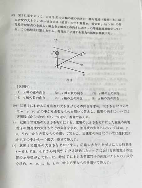 ホ）（へ）（ト）の解答解説お願いします20252/3芝浦工大物理です