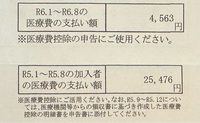 医療費控除について、添付写真の「医療費の支払い額」が10万円以下なら確定申告不要ですか？ 