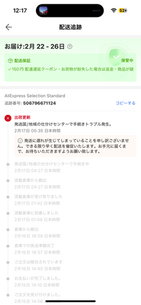 再値引き❗️引き取り希望ですが、着払い発送も可❗️ AliExpressで買った物が発送国仕分けセンターが受取拒否しました