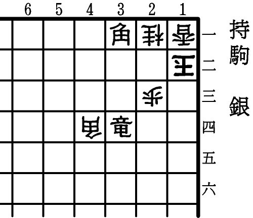 詰将棋の基本的なルールなんですが、 攻め方には持ち駒が基本ありますよね。 王（相手）方の持ち駒って将棋盤にでていない王以外の全ての駒が 持ち駒だと思っていたのですが、これは間違いですか？