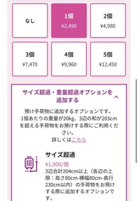 ピーチ航空の受託手荷物で、20キロと有料がありますが何のことで