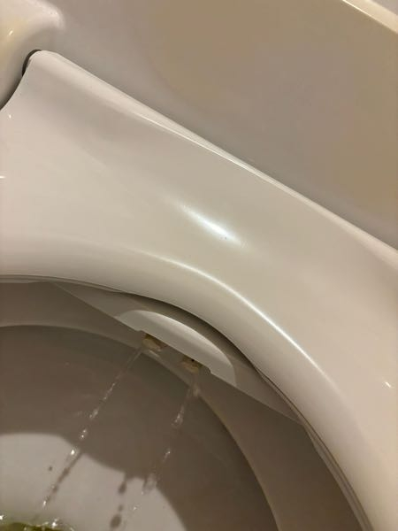 トイレのウォシュレットの問題についてです。 おしりやビデを押すとノズルが伸びずに水を垂れ流すだけになります。 ノズルの掃除、便座本体内部の水抜きは試しました。 ナスラックのSWT-DG52Wです。