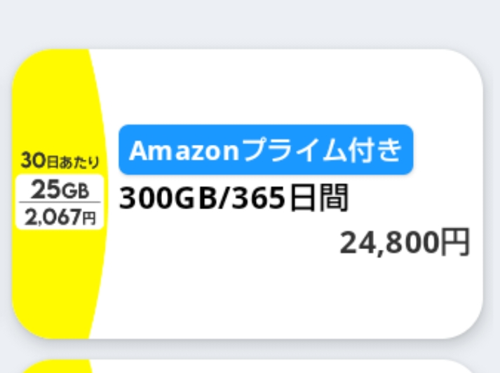 povo2.0でトッピングについて 24,800円のプランを2月25日に購入したら、25日から1年間このトッピング（365日で300GB）が使えるということであっていますか？ すみません。 スマホ料金にしては高い買い物なので失敗したくなく質問させていただきました。