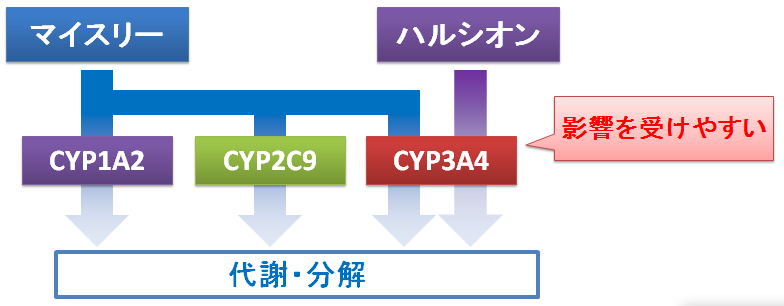 ハルシオンとマイスリーの違いとは？ 睡眠薬です。 （基本的な事です。）