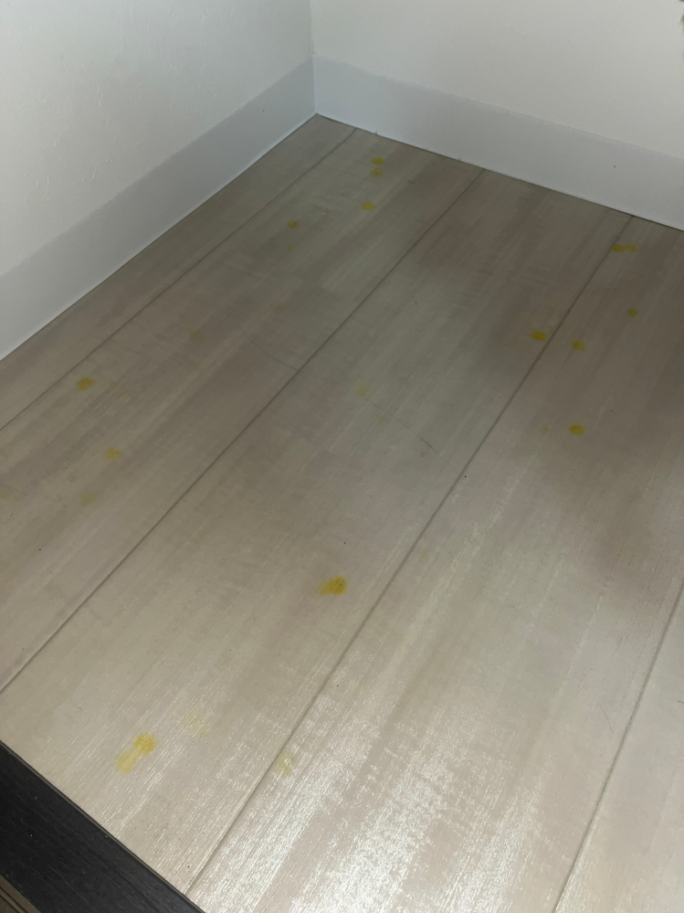 賃貸マンションのクローゼットの中に黄色い染がいくつもできていました。 この上にはキャリーバッグを置いていたのですがタイヤの位置とも合いません。 賃貸の契約には退去時にハウスクリーニング代として3万3千円が組み込まれているのですが、その範囲内で直せる染でしょうか？有識者の方にご教授いただきたいです。