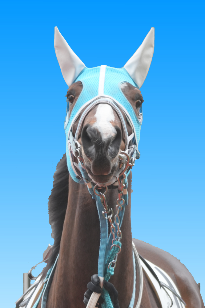 競馬に詳しい方に質問です。 競走馬にこのようなマスクを被らせてますが、一体何の為に被らせているんですか？ また、名称を教えてください。 ※画像はメイショウピリカ