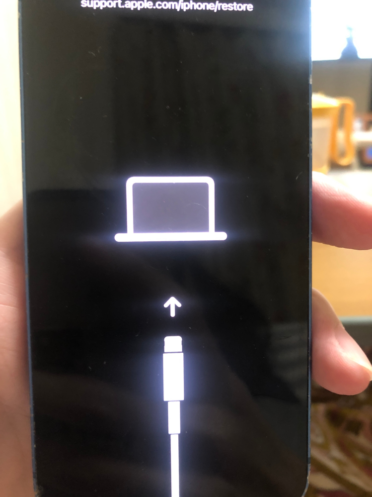 iPhone13miniなんですけどりんごループになったので強制 - Yahoo!知恵袋