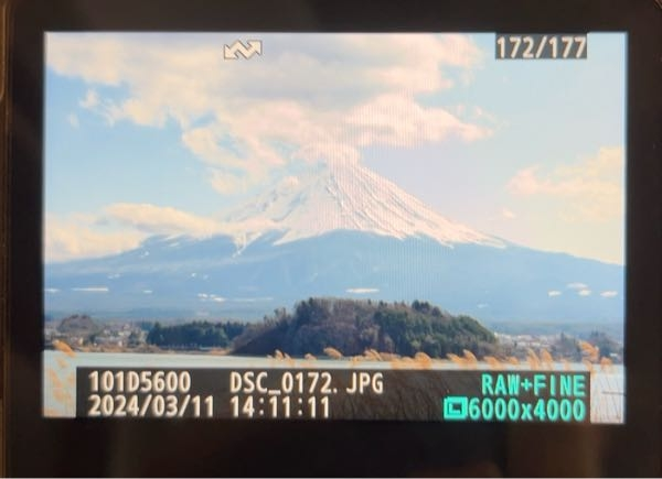 カメラ超初心者です。 一眼レフの画質モードについて教えてください。 JPEG で撮るのに慣れてきたので、まだ現象とかは知識も技術なくてできませんが、Raw+fineというモードで撮影にチャレンジしました。 JPEG に加えてRAW(なんか自分で色々いじる必要があるデータ)という2種類の形でデータが保存されるモードとは調べて知ってたのですが、カメラ内で撮影した写真を見たところ、写真は1枚しかないし、形式もJPEG な気がするんですが、、これってRAWのデータというのはどこに保存されてるんですか？？ また、1枚しかないってことは、この写真をSNSに飛ばしたり、PCに取り込むとき、JPEG のデータだけとりあえず使いたいんだけど、、って場合はどうなるんでしょうか？ まだカメラの仕組みとかも自力で調べて、本当になんとなくしか分かってないので、ぼんやりとした質問ですが、ご教授よろしくお願いします。 超初心者でまだカメラというものに慣れようとしてるレベルなので、あまり専門的なことを言われてもわかる段階にないのを前提によろしくお願いします。