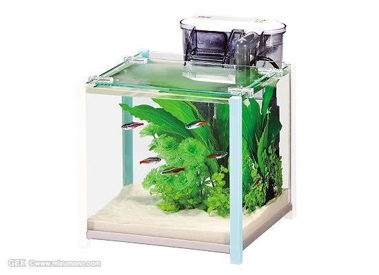 水槽 スリム 15cm 15cm 水槽 の人気商品一覧 安い商品を通販サイトから