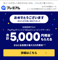 しゃこめる様　ご確認用　❤️3本　送料込み 09067949016/03-5427-9305 NTTサポートと名乗るショートメールが