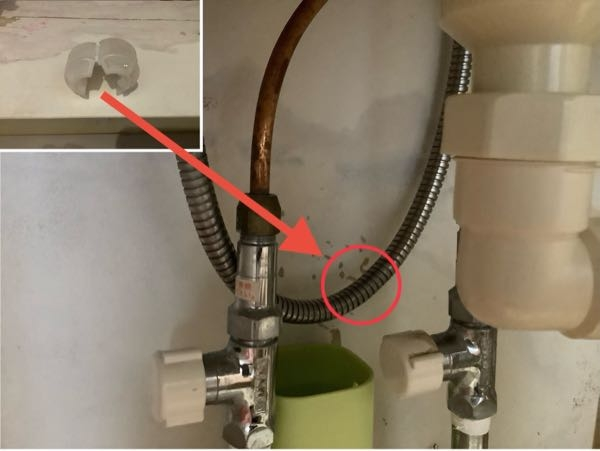 手洗い場の水道に、白い固定具？（画像内の左上）が管（画像内の赤丸箇所）に付いていたのですが、どういう用途なのでしょうか？ 回答よろしくお願いします。