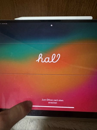 iPad (大至急)決定