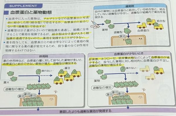 利尿薬とアルブミン結合について質問があります！ 「薬が見える」で利尿薬について勉強していたのですが、 分からない部分があるため教えてください。 添付画像の説明で、薬物動態には血漿蛋白質と結合した結合型と結合しない遊離型が存在し、遊離型が組織内で薬効を発現する と記載があります。 肝疾患、ネフローゼ、低栄養などで血漿蛋白が低下すると遊離型が増加する → 過剰な薬効が発現 といった図説もあります。 しかし、ページを読み進めるとループ利尿薬の薬効減少要因に「ネフローゼ」との記載がありました。 ネットで調べてみると、ループ利尿薬はアルブミンと結合して薬効を発揮する（そのためループ利尿薬投与時には一緒にアルブミンを投与することがある）と説明されているサイトが散見されました。 端的に言うと、 ○添付画像の説明ではタンパク質と結合しない遊離型が薬効発現する ○他ページやネットではアルブミンと結合して薬効発現する とそれぞれ記載されており、説明が矛盾しているように感じます。どういう事なのでしょうか？私の理解がおかしいのでしょうか？ どなたか詳しい方、解説をお願いします。