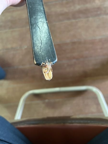 弓道の弓具についてです。 もとはずが欠けているのですがこれで大会に出場することは可能でしょうか？