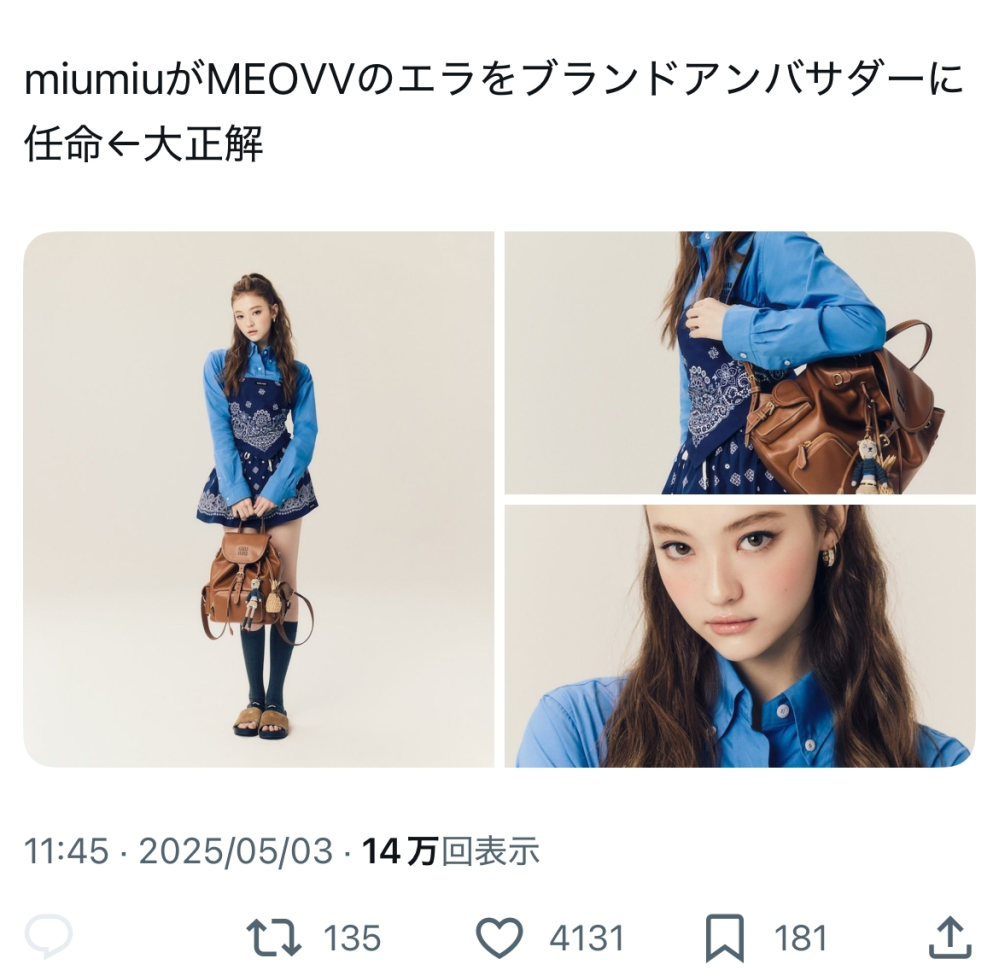 ウォニョンちゃんMIUMIUのアンバサダー降りたんですか？