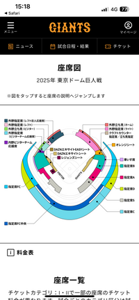 東京ドームの外野指定席レフト(F04.05ブロック)はビジターでも