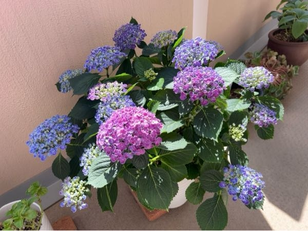 メルカリの質問です。メリカリにてまとめ買いリクエストが来て承