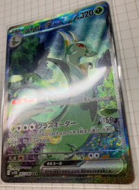 ポケモンカードの質問です。自引きしたジャローダSARについて