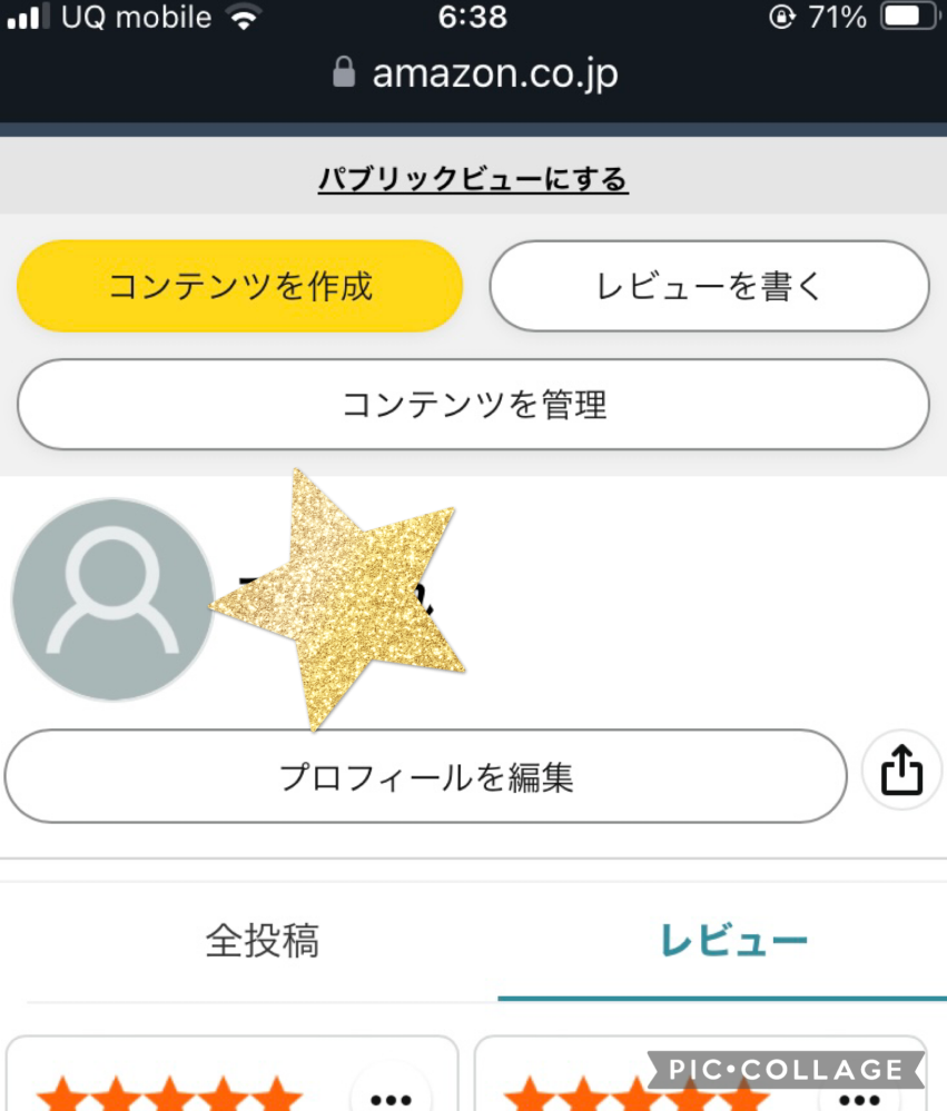 Amazon | [早瀬錦堂] 最中 山鹿燈籠もなか 6個 /ギフト | 早瀬錦