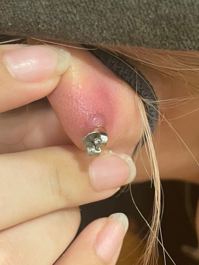 ピアス、今ロブに左右2個ずつ開いていて、左にヘリックスを