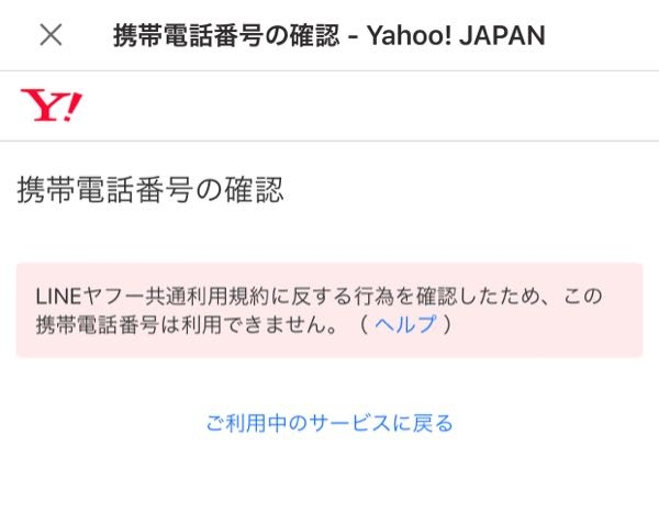 Zwen❗️他の方は落札しないでください Amazon.co.jp: ゼクス Z/X B39-041 闇夜に煌めく 姫君と竜 (SR