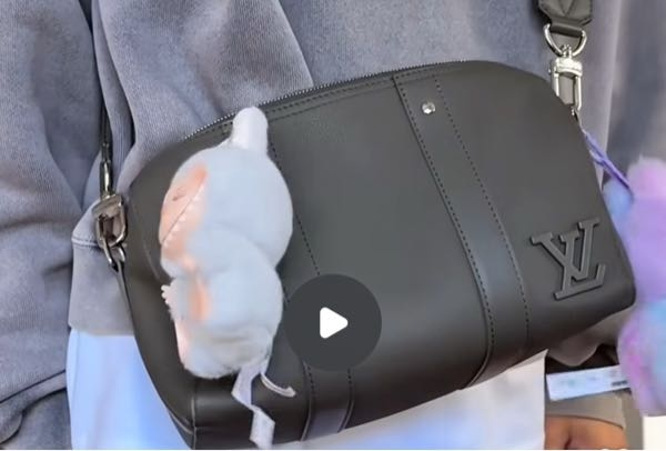 大至急！PRADA巾着ポーチ詳しい方いらっしゃいましたら教え