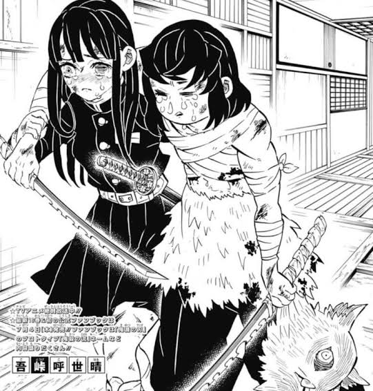集英社 - ヒロアカ漫画+おまけ複数 集英社 - ヒロアカ漫画+おまけ複数