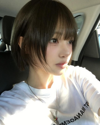 画像出品等への記載なし