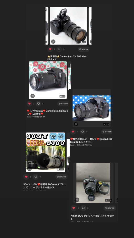 一眼レフ初心者です。SONYα100を中古で購入して日々楽しんでい