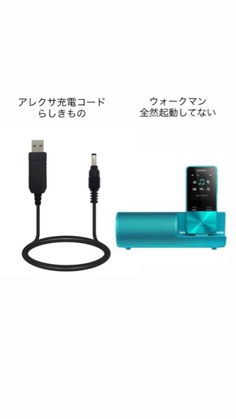 SONY ウォークマン NW-A55（付属イヤホン、充電コード付） 箱無し SONY ウォークマン NW-A55（付属イヤホン、充電コード付） 箱