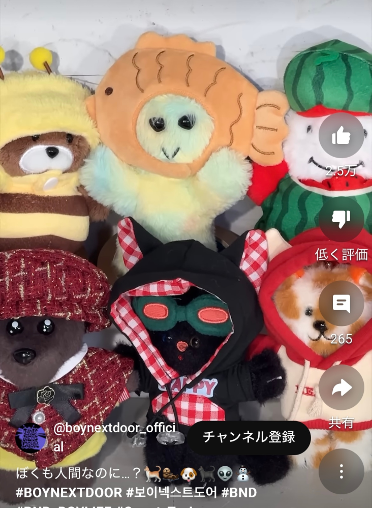 プネクドのこの人形ってどこで手に入れられますか？公式のやつで！ボ