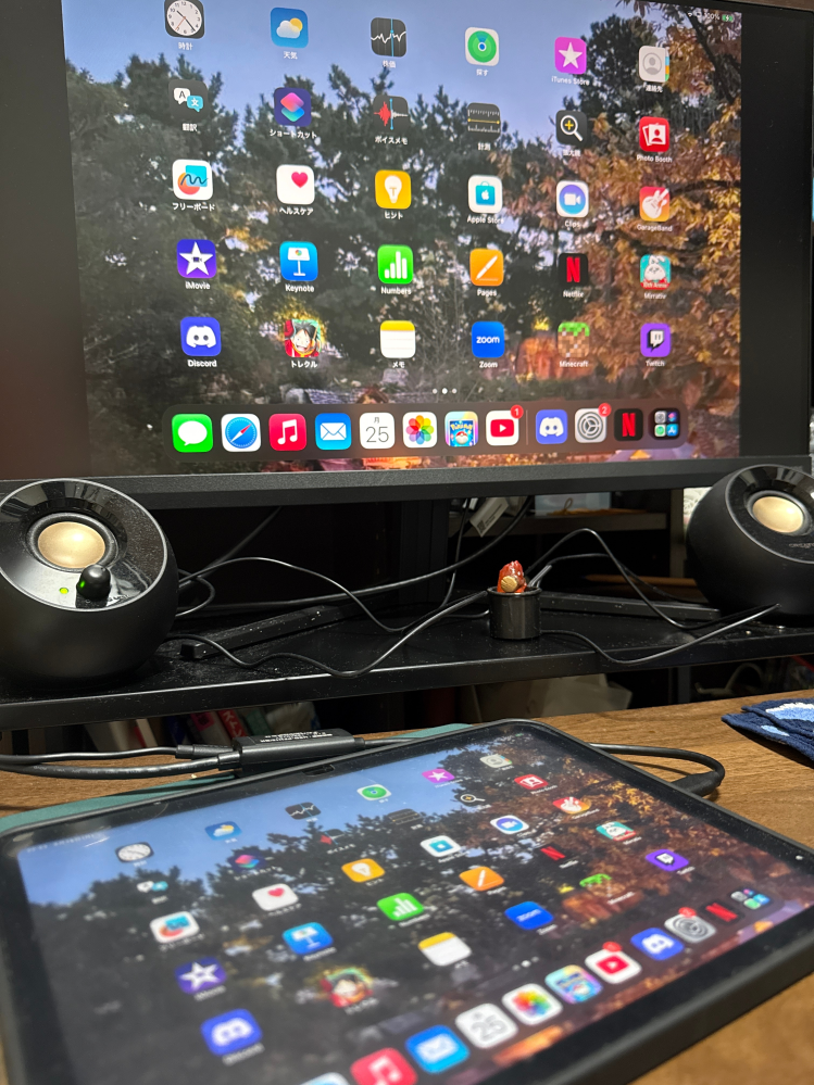 急にiPad本体から音が出なくなりました。ヘッドフォン差し口