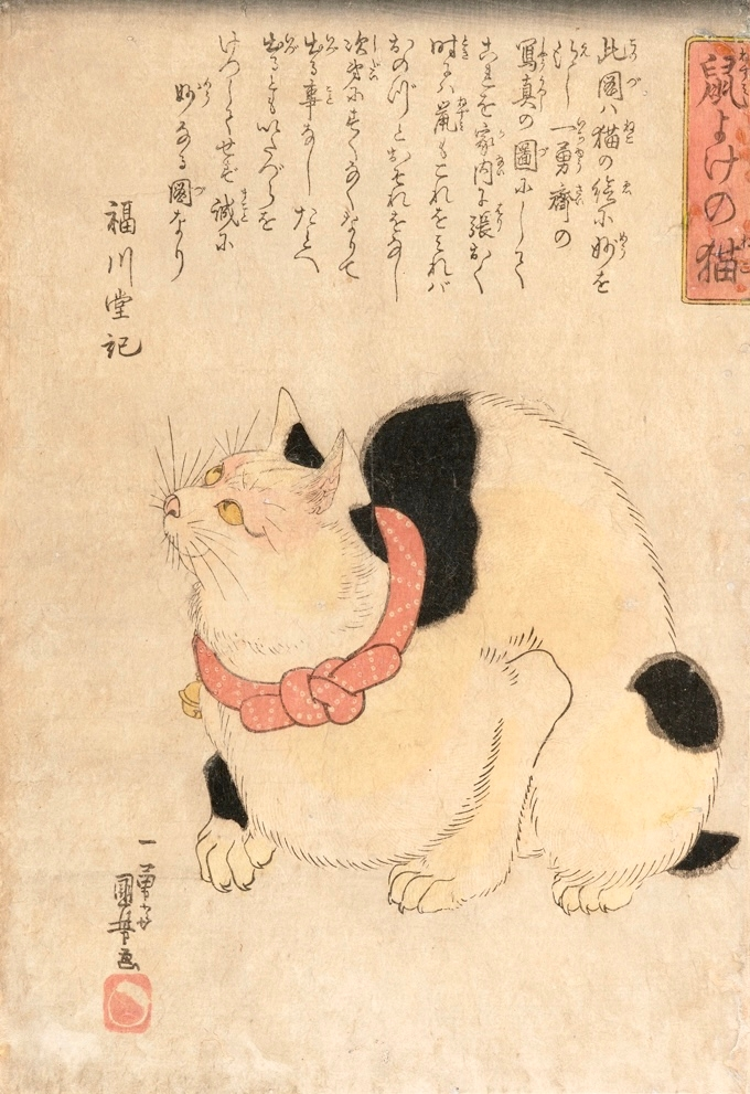 家にあった掛け軸です。 楽天市場】掛け軸（掛軸｜アート・美術品・骨董品・民芸品